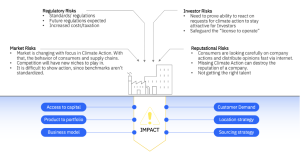 Figure 1 – Potential Risks in Sustainability Planning 